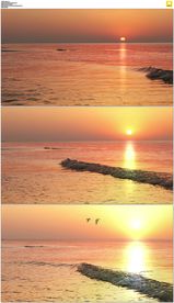 海上日出小鸟剪影