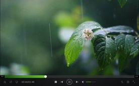 清新大自然雨景