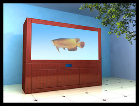 高观赏鱼缸
