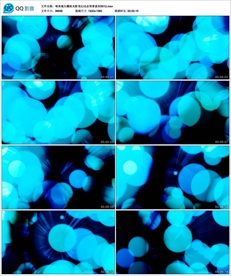 唯美镜头耀斑光影变幻动态背景