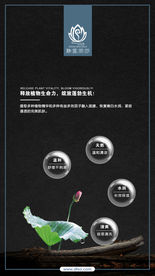 焕颜雪肤面膜禅意微信手机海报