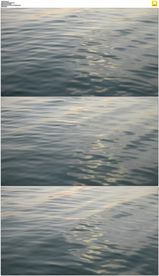 平静的海面泛着阳光