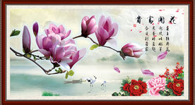 玉兰花