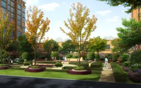 人物 园林景观 散步 儿童乐园