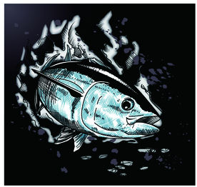 手绘鱼矢量素材