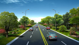 道路绿化效果