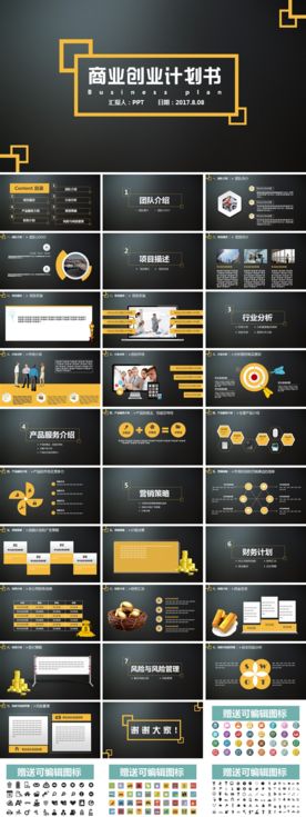 商业大型项目策划书PPT