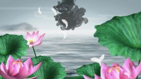 3D荷花水墨晕开视频素材