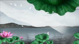 荷花与纱幔视频素材