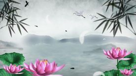 古风荷塘山水视频素材