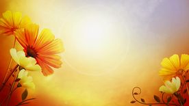 梦幻花朵插画动态背景素材