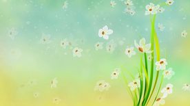 梦幻花朵飘落视频素材