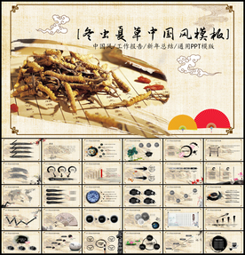冬虫夏草中医中国风PPT模板