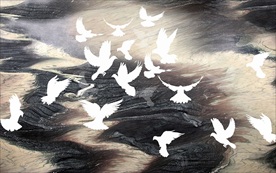 飞鸟装饰画