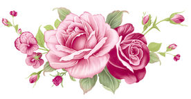 玫瑰花语 通道分层