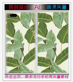 芭蕉叶手机图片
