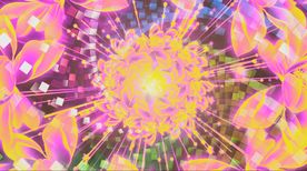 高清喜庆旋转花海