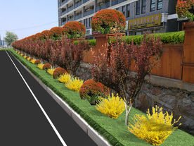 道路边花箱种植设计