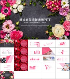 韩式 唯美工作总结汇报PPT