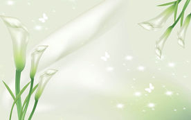 3D立体丝绸马蹄莲电视背景墙