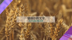 活波转场特效图文展示