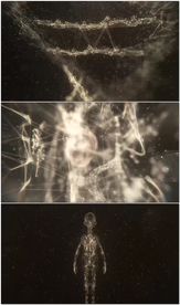 粒子网格身体DNA序列