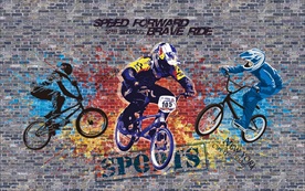 自行车体育装饰画背景墙