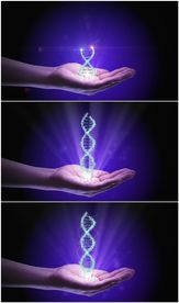 手掌上形成全息DNA