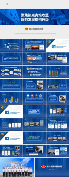 国税办联服务指南