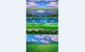 美丽草原 羊群绿草