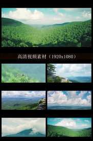 大自然原生态森林景色实拍视频