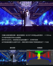 纯暗场婚礼新人max全模场景