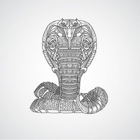 眼镜蛇线描图案