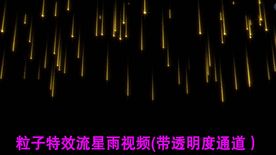 粒子雨视频带透明通道