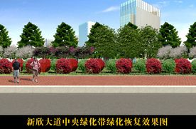 新余市新欣大道绿化修复工程