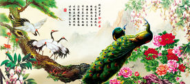 孔雀牡丹图