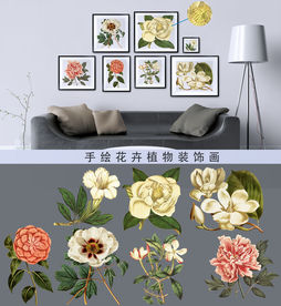 古典手绘花卉装饰画