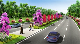 叶子花三角梅道路效果图