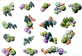 彩色平面图植物素材