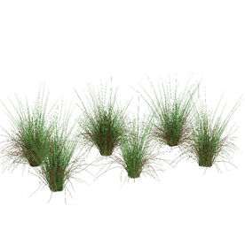 绿叶丛生植物模型