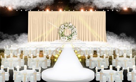 香槟色简洁风格婚礼效果图