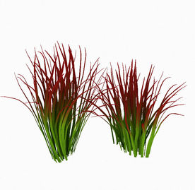 室外绿色植被模型