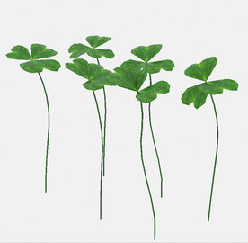 心形三叶草模型