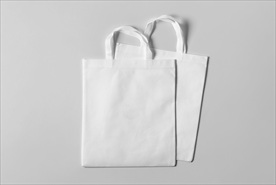 手提袋模板 手提袋样机 手提袋