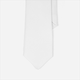 父亲节感恩领带效果图