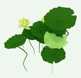 池塘绿叶荷花模型