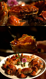 洞庭湖大闸蟹美食实拍特写视频