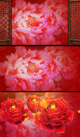 古典动态牡丹合成视频背景