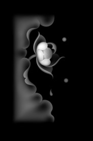 荷花浮雕精雕灰度