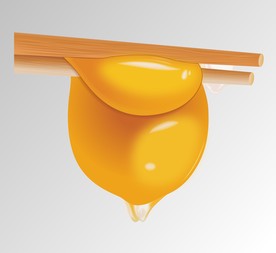 仿真高清鸡蛋矢量图素材